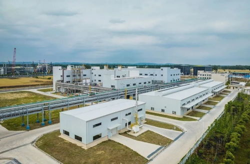 展会报道 江苏澳润新材料 中国高性能润滑材料的新兴力量