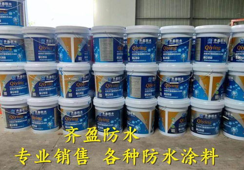 裕民县 水泥基js防水涂料找齐盈防水 欢迎