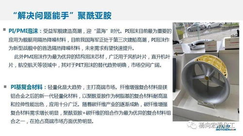 中国化工新材料发展