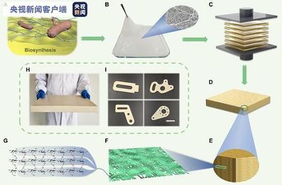 中国材料科学研制新进展:研制出仿生结构新材料