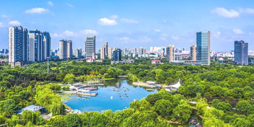 中央确定浙江省12个中等城市 嘉兴将升大城市,瑞安 金华同级