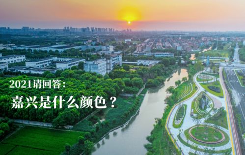 2021请回答 嘉兴是什么颜色