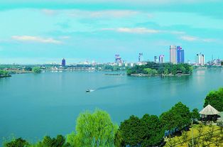 以智能交通为突破口，嘉兴将驶上智慧城市建设快车道